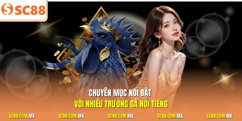Chuyên mục nổi bật với nhiều trường gà nổi tiếng