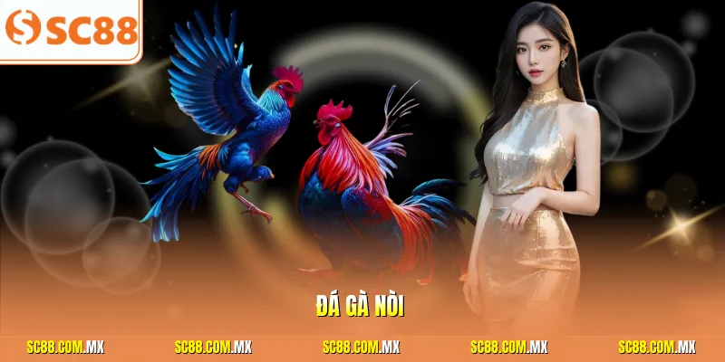 Đá gà nòi