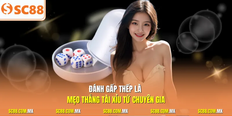 Đánh gấp thếp là mẹo thắng tài xỉu từ chuyên gia