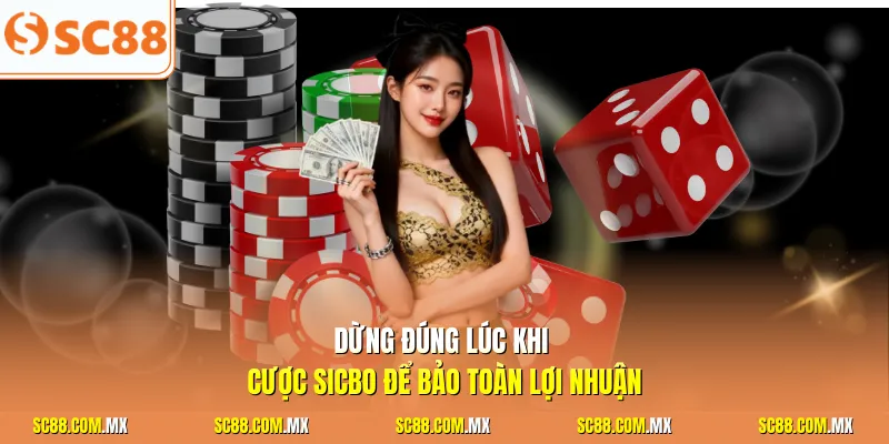 Dừng đúng lúc khi cược Sicbo để bảo toàn lợi nhuận