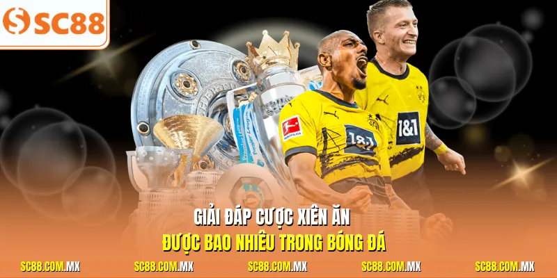 Giải đáp cược xiên ăn được bao nhiêu trong bóng đá