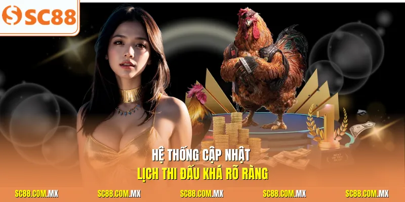 Hệ thống cập nhật lịch thi đấu khá rõ ràng
