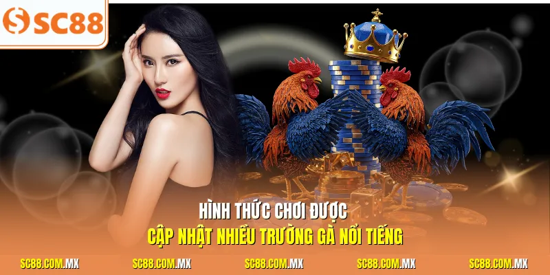 Hình thức chơi được cập nhật nhiều trường gà nổi tiếng