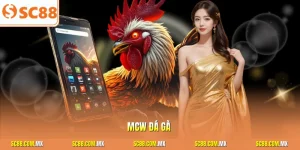 Mcw đá gà