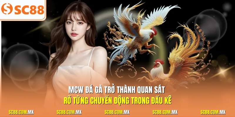 Mcw đá gà trở thành quan sát rõ từng chuyển động trong đấu kê