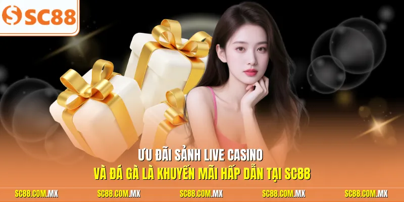 Ưu đãi sảnh live casino và đá gà là khuyến mãi hấp dẫn tại SC88